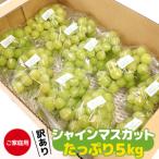 ショッピングふるさと納税 訳あり 傷 ふるさと納税 【先行予約】 《ご家庭用》令和8年産 訳ありシャインマスカット たっぷり５kg （8〜12房）山形県産 2026年産 【2026年9月上旬頃.. 山形県寒河江市