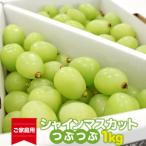 ショッピングふるさと納税 訳あり 傷 ふるさと納税 【先行予約】《ご家庭用》令和8年産 訳ありシャインマスカット つぶつぶ 1kg 山形県産 2026年産 【2026年9月上旬頃〜10月中旬頃.. 山形県寒河江市
