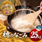 令和7年産 穂のなごみ 白米 25kg
