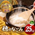 令和7年産 穂のなごみ 白米 25kg