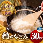 令和7年産 穂のなごみ 白米 30kg