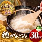 令和7年産 穂のなごみ 白米 30kg