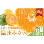 ふるさと納税 【3ヶ月定期便】みかん 定期便 秀品 温州みかん ミニ 計9kg 日本フルーツ株式会社《10月上旬-12月末頃出荷》熊本県 長洲町 ミカン .. 熊本県長洲町