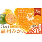 ふるさと納税 【3ヶ月定期便】みかん 定期便 秀品 温州みかん ペシャル 計30kg 日本フルーツ株式会社《10月上旬-12月末頃出荷》熊本県 長洲町 ミ.. 熊本県長洲町