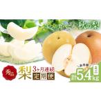 ふるさと納税 【3ヶ月定期便】梨 定期便 秀品 3ヶ月連続 梨の定期便 ミニ 計5.4kg 日本フルーツ株式会社《8月上旬-10月末頃出荷》熊本県 長洲町 .. 熊本県長洲町