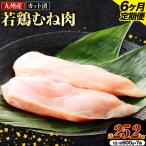 九州産若鶏ムネ肉 600g×7袋×6回