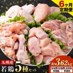 ふるさと納税 【6ヶ月定期便】 九州産若鶏もも肉 むね肉 ささみ 手羽先 手羽元 セット 計3.62kg 鶏肉 お肉 モモ肉 ムネ肉 5種類 詰め合わせ 小分.. 熊本県菊池市