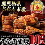 うなぎの大楠 蒲焼 10尾