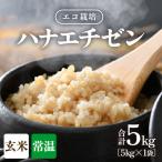 米 コシヒカリ 令和8年産 新米 一等米 エコ栽培コシヒカリ