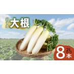 fu.... налог дайкон 8шт.@.. производство [11 месяц ~6 месяц сверху . примерно отправка ] Chiba префектура .. город 