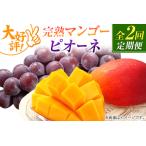 ふるさと納税 【定期便・全2回】完熟マンゴーとピオーネ定期便（マンゴー 完熟マンゴー アップルマンゴー ブドウ ぶどう 種なし ピオーネ 定期便.. 宮崎県小林市