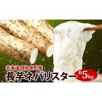長芋 秋堀り