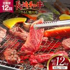AJ573 長崎和牛 焼肉セット 計約1kg