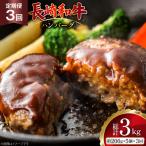 AJ586 長崎和牛 ハンバーグ 約1kg