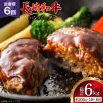 AJ587 長崎和牛 ハンバーグ 約1kg