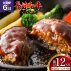 AJ590 長崎和牛 ハンバーグ 約2kg