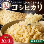 直売所直送 令和8年産 コシヒカリ 玄米10kg