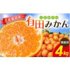 \光センサー選別 こだわりの有田みかん4kg+150g