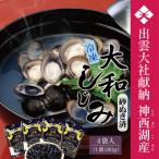 神西湖産 冷凍 大和 しじみ 720g