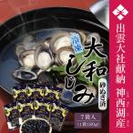神西湖産 冷凍 大和 しじみ 約1.2kg