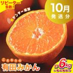 こだわりの有田みかん 約6kg+250g