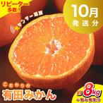 こだわりの有田みかん 約8kg+250g