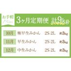 秀品 温州みかん 3ヶ月 定期便 ミニ 計9kg 日本フルーツ株式会社《10月上旬-12月末頃出荷》熊本県 荒尾市 みかん 温州みかん ミカ.. 熊本県荒尾市 約3kg〜9kg
