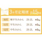 秀品 温州みかん 3ヶ月 定期便 リッチ 計15kg 日本フルーツ株式会社《10月上旬-12月末頃出荷》熊本県 荒尾市 みかん 温州みかん ミ.. 熊本県荒尾市 約5kg〜15kg
