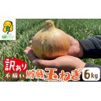ふるさと納税 【先行予約】 淡路島 貯蔵玉ねぎ 6kg 訳あり サイズ不揃い 簡易箱でお届け / 玉ねぎ 兵庫県