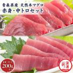 天然 本マグロ 赤身 中トロ 2種セット 本鮪