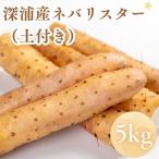 お届け:2026年12月中旬~2027年2月下旬