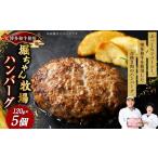 堀ちゃん牧場ハンバーグ 120g×5個