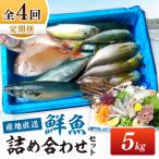 御坊産鮮魚セット 5kg