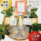 豪華 5種