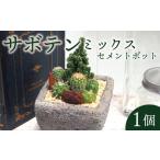 fu.... налог кактус цемент pot Kyoto растения интерьер декоративное растение Kyoto (столичный округ) 