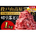 ふるさと納税 【全6回 定期便】 段戸山高原牛 切り落とし 1kg (200g×5）定期便 牛肉 肉 国産牛 焼肉 すき焼き しゃぶしゃぶ 不揃い 冷凍 愛.. 愛知県設楽町