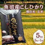 魚沼産コシヒカリ棚田米 玄米5kg