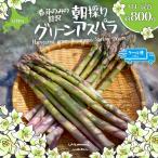 朝採りグリーンアスパラ 春芽 M-L混合 約1kg