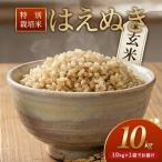 ふるさと納税 特別栽培米 はえぬき 10kg 玄米 令和7年産 山形県産 東北 山形県 遊佐町 庄内地方 米 お米 庄内米 ご飯 ごはん 産地直送 農家直送 .. 山形県遊佐町