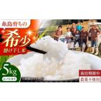 白米 ヒノヒカリ 掛け干し米 5kg