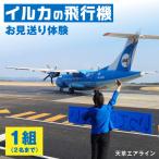 S035-011_イルカの飛行機 天草エアライン