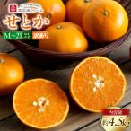 訳あり せとか 4.5kg