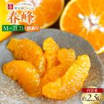 訳あり 春峰 2.5kg