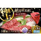 純 馬 馬刺し極上フルセット計約330g