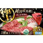 全6回定期便 純 馬 馬刺し極上フルセット計約330g