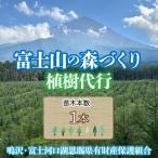 富士山の森づくり植樹代行 1本