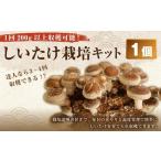 fu.... налог 1 раз 200g и больше .. возможность!.... культивирование комплект (. пол 1 шт ). человек если 3~4 раз примерно ........ . грибы шиитаке .. культивирование.. Kochi префектура . прекрасный город 