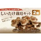 fu.... налог 1 раз 200g и больше .. возможность!.... культивирование комплект (. пол 2 шт. комплект ). человек если 3~4 раз примерно ........ . грибы шиитаке ... Kochi префектура . прекрасный город 