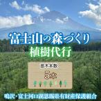 富士山の森づくり植樹代行 5本