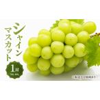 ふるさと納税 ぶどう 2026年 先行予約 シャイン マスカット 1房 700g〜800g 大粒 種無し ブドウ 葡萄 岡山県産 国産 フルーツ 果物 ギフト MAKAN.. 岡山県玉野市